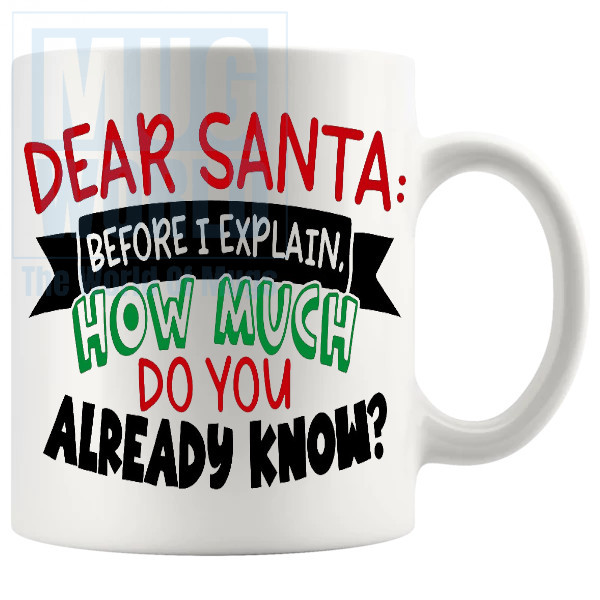 Dear Santa Before I Explain Mug