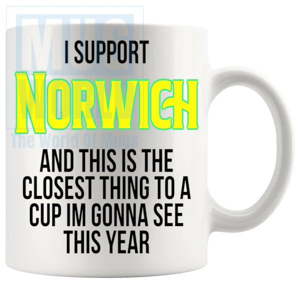 Norwich Closest Thing To A Cup Mug